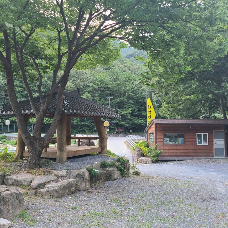 단양연화 이미지