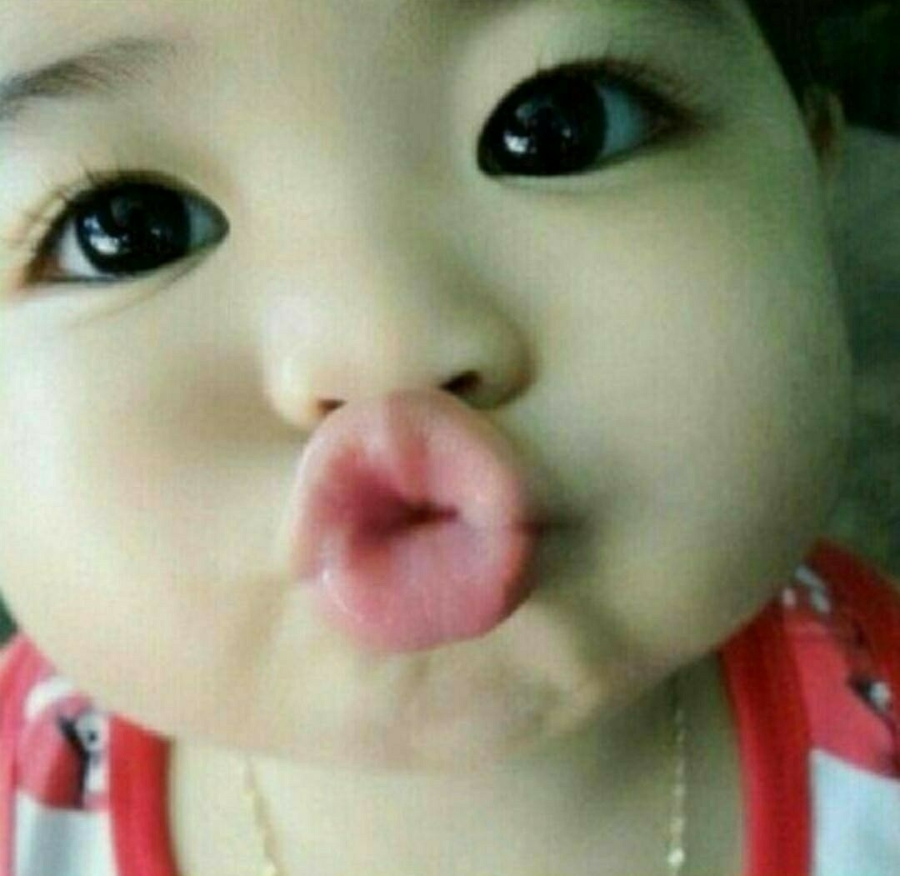 본전집 이미지