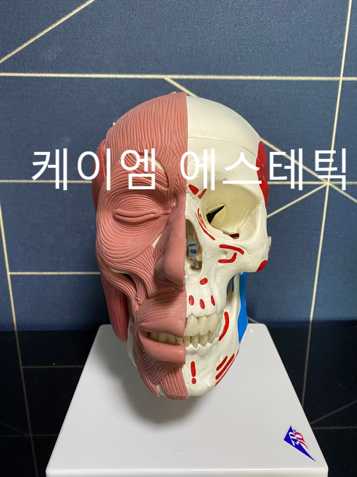 케이엠구조 이미지