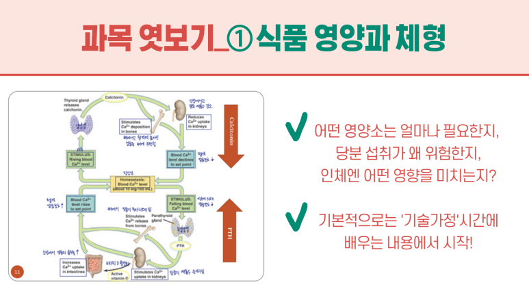 영학식품 이미지