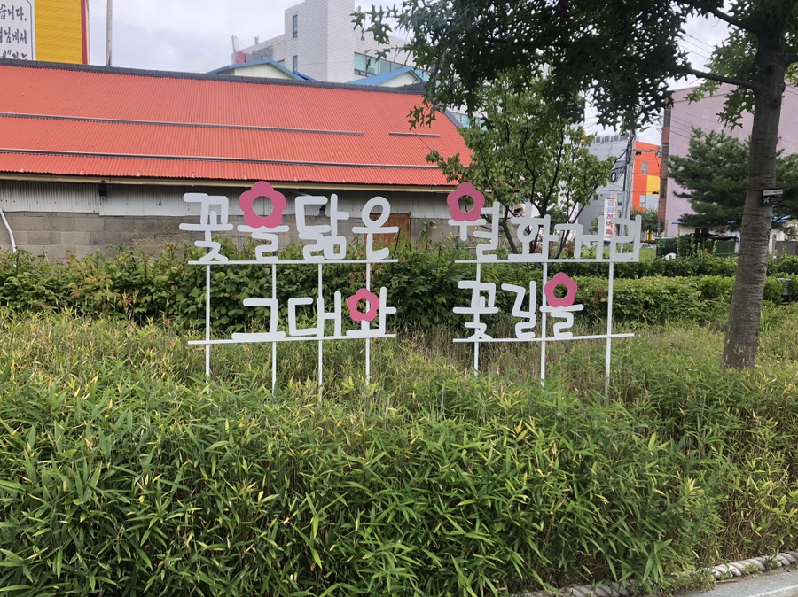 강릉콩밭 이미지
