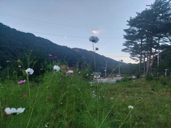 곰배령팜스테이 이미지