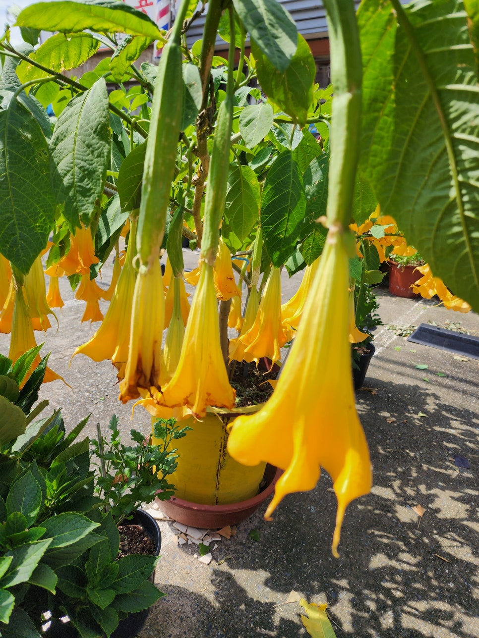 대중이용원 이미지