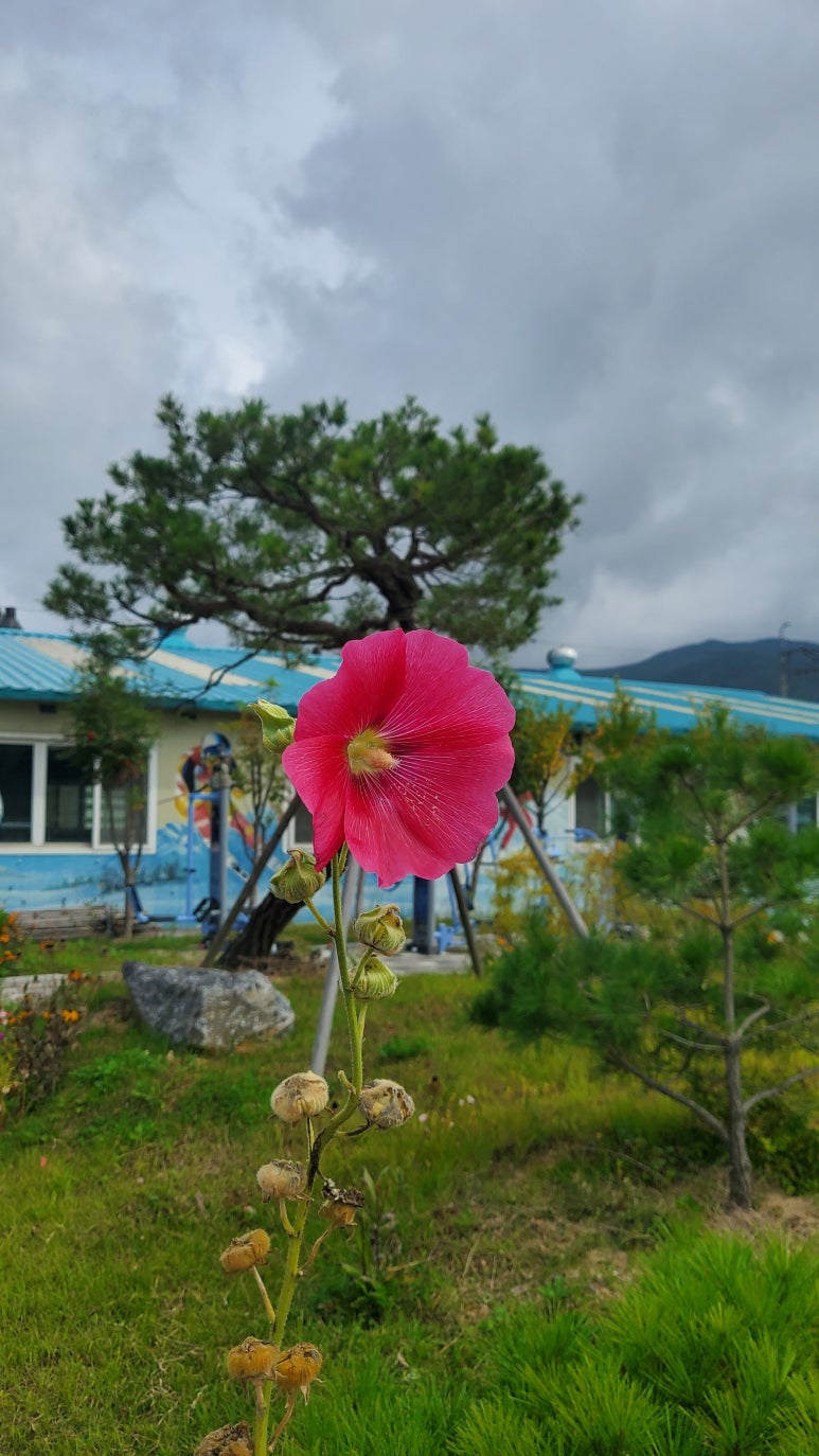 춘화분식 이미지