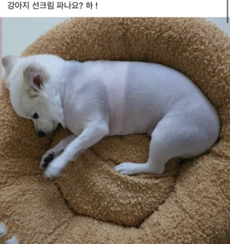 구드 이미지
