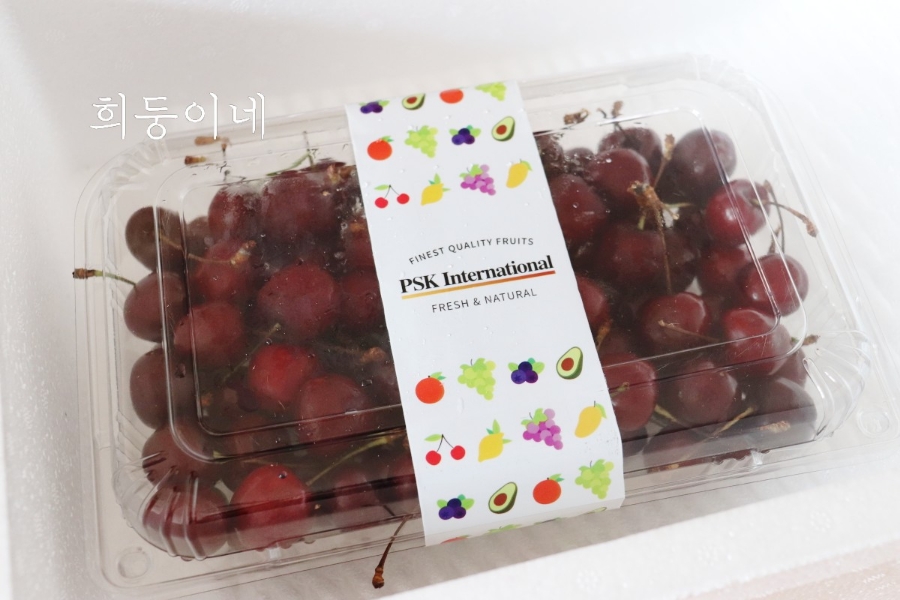 벨라인터네셔널 이미지