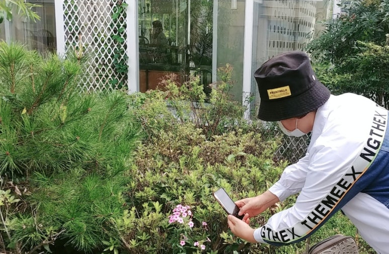 수락샘골보리밥 이미지