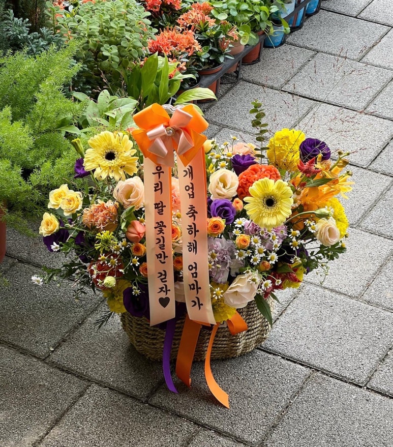 쁘렝땅플레르 이미지