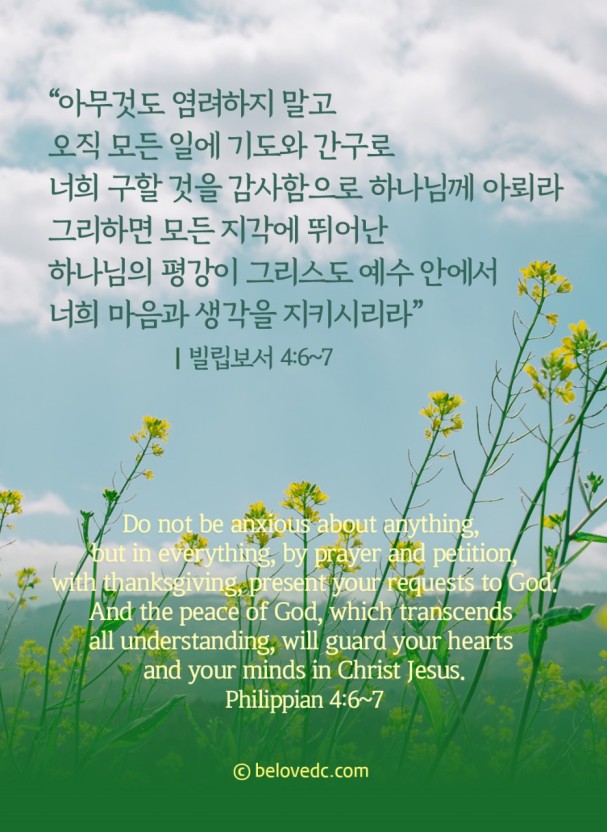 파파피아노 이미지