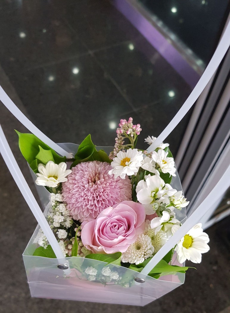 늘꽃처럼 이미지