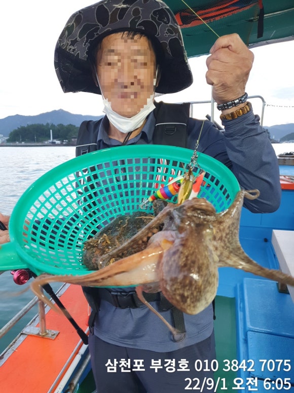 부경호 이미지