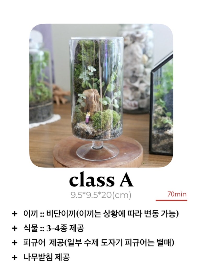 아뜰리에윈터그린 이미지