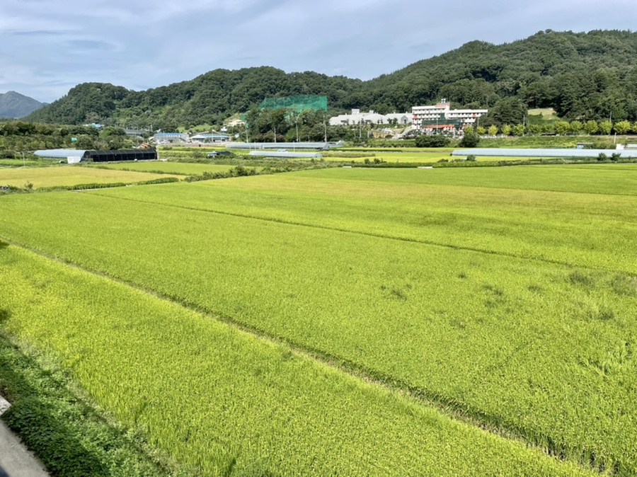 투썸플레이스 옥천점 이미지