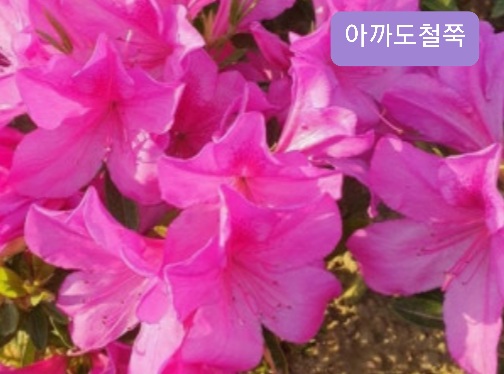 오성농원 이미지