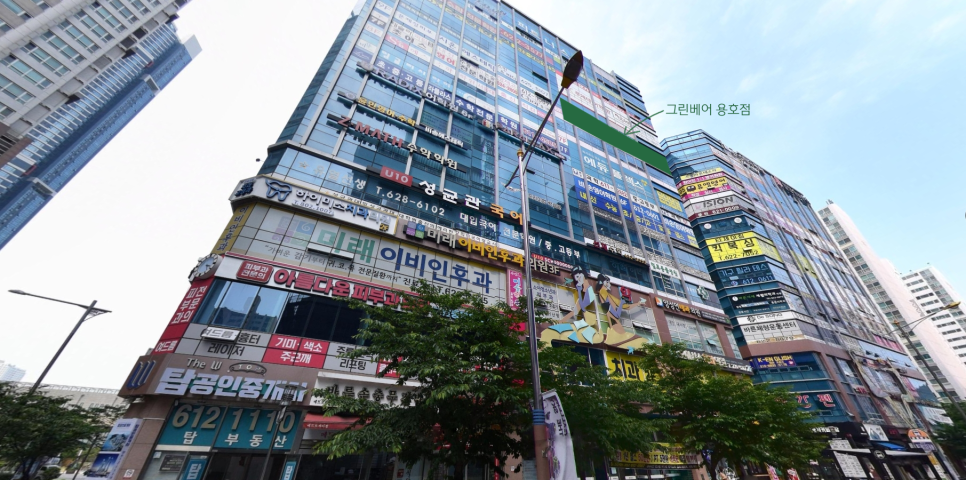 그린베어용호스터디카페 이미지