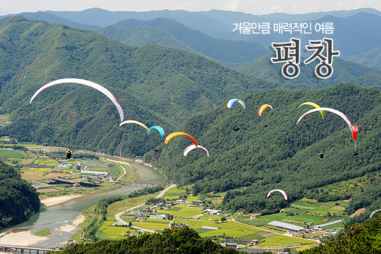 평창냉면 이미지