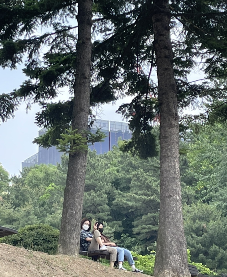 솜크 이미지