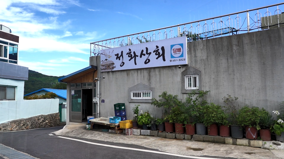 정화상회 이미지