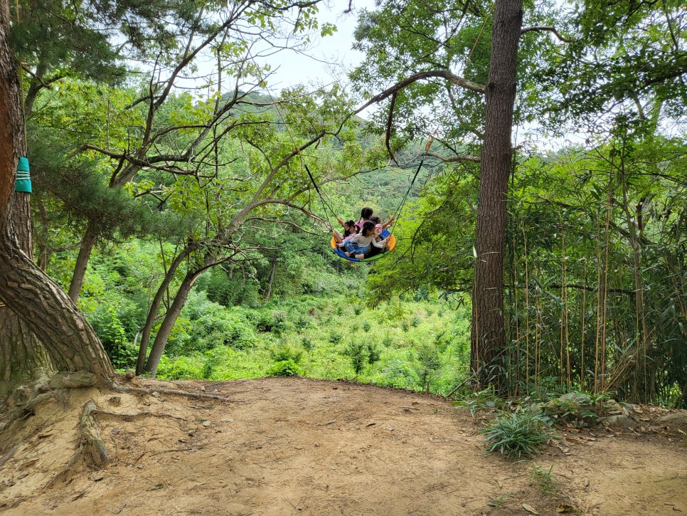 송산물빛 유아숲체험원 이미지