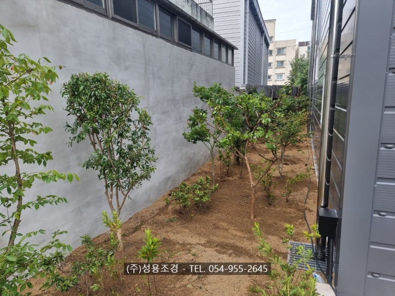 성용조경 이미지