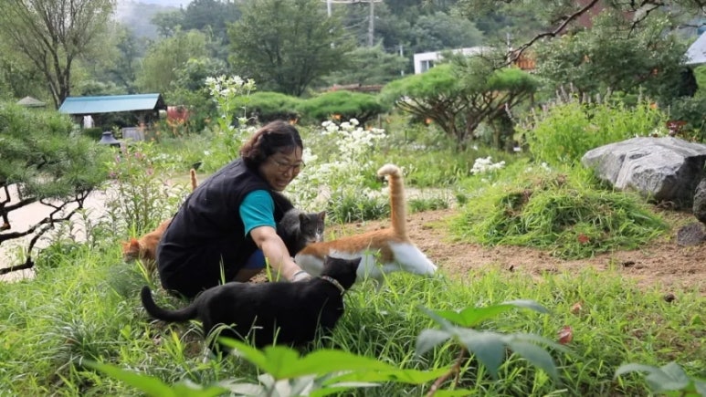 경희농장 이미지