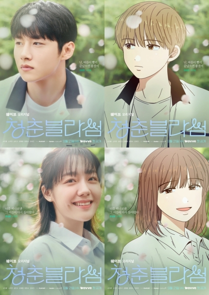 청춘헤어 이미지