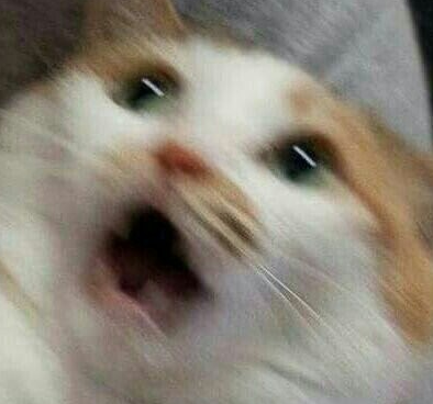 더위더스 이미지