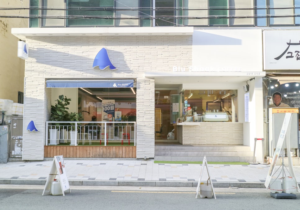 블루샥효목 이미지