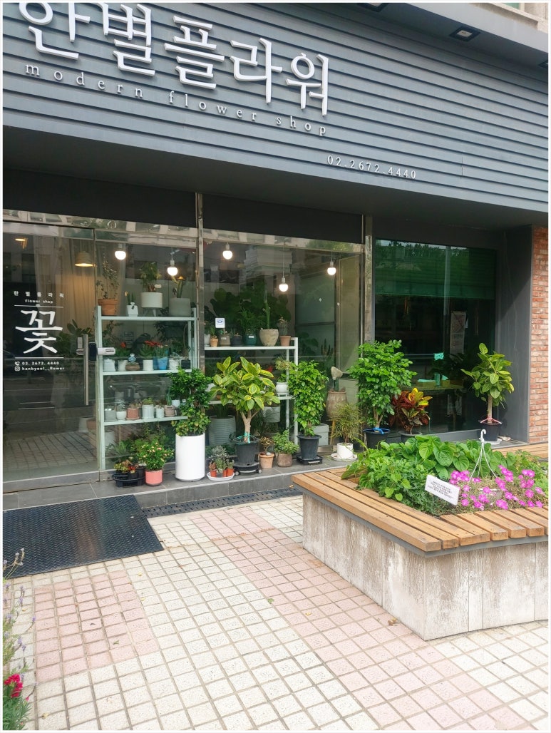 한별플라워 이미지