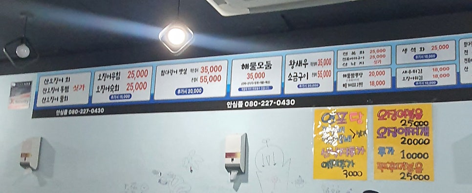 더오징어더참치 이미지
