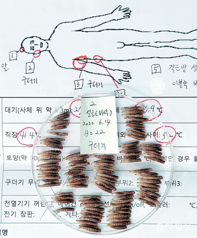 포식정 이미지