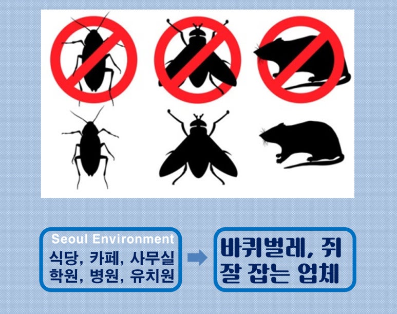 미선이네김밥 이미지
