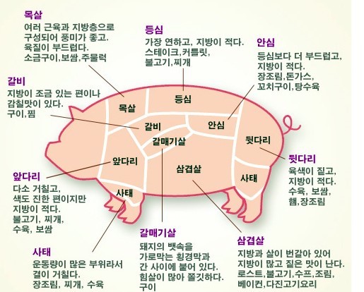 돼지소한마리 이미지