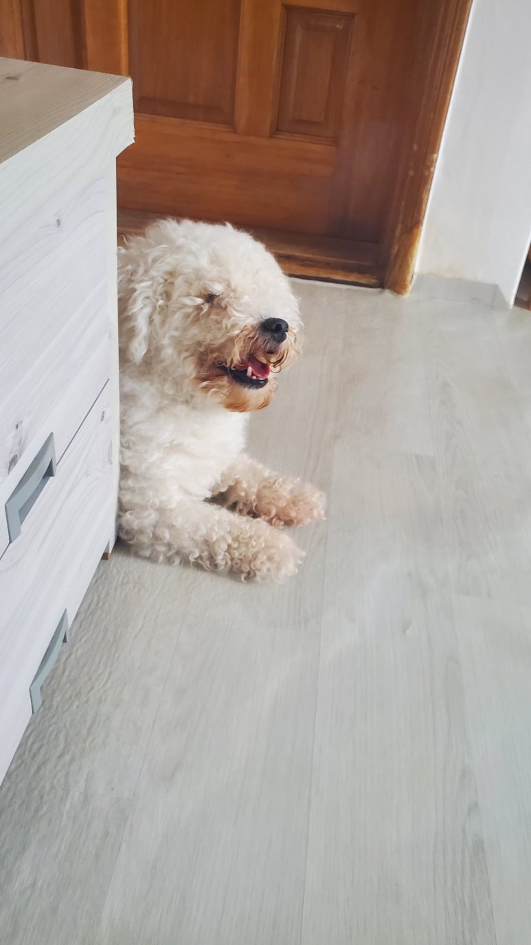 날개미용실 이미지