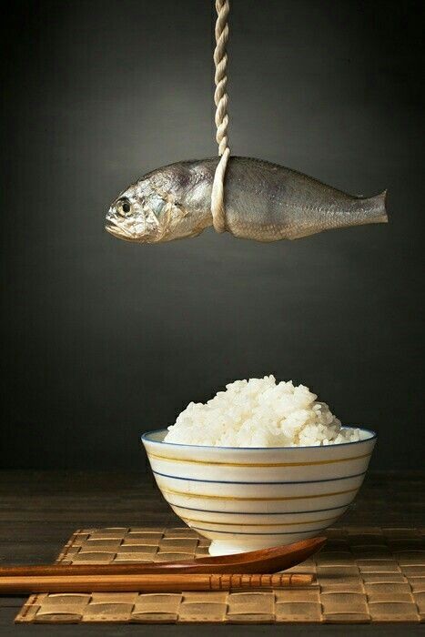 삼길포건어물 이미지