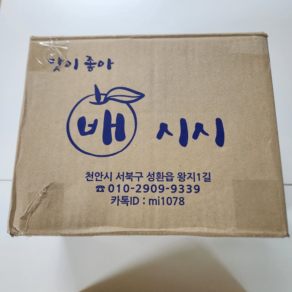 왕지농원 이미지