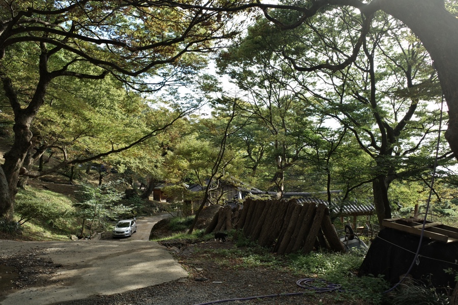 도비직업소개소 이미지