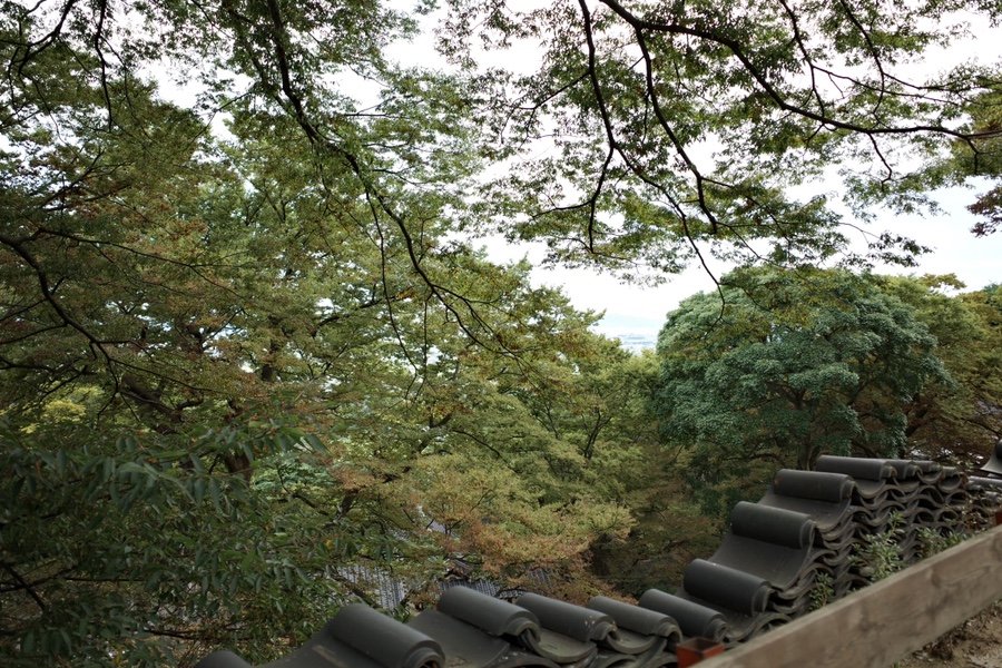 도비직업소개소 이미지