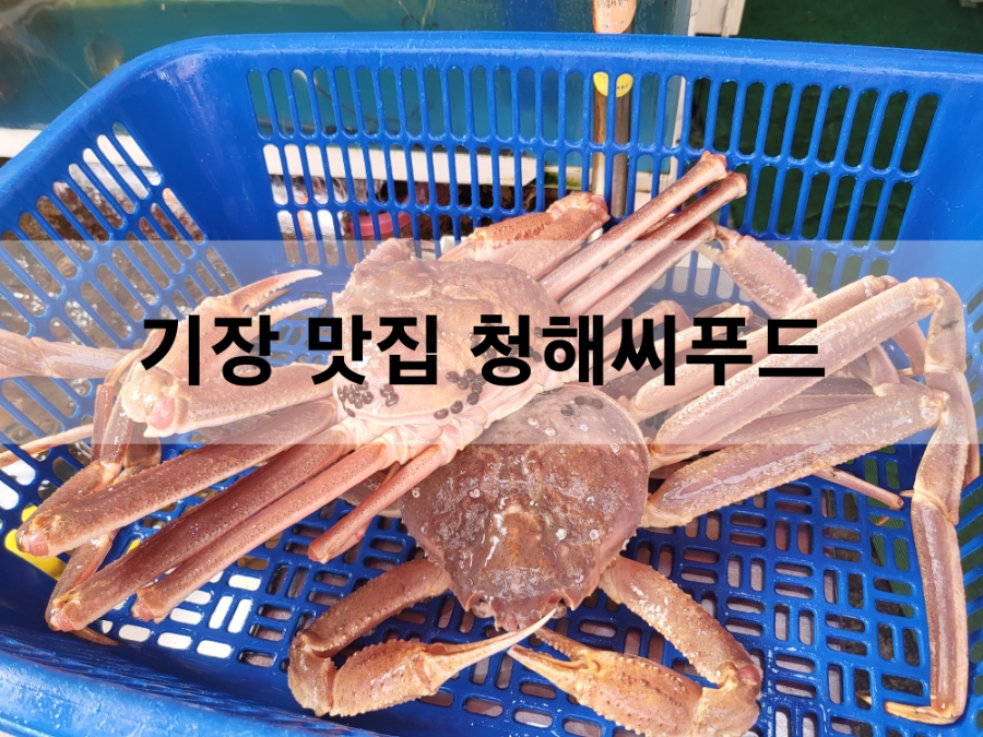 청해씨푸드 이미지