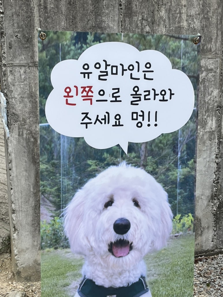 유알픽 이미지