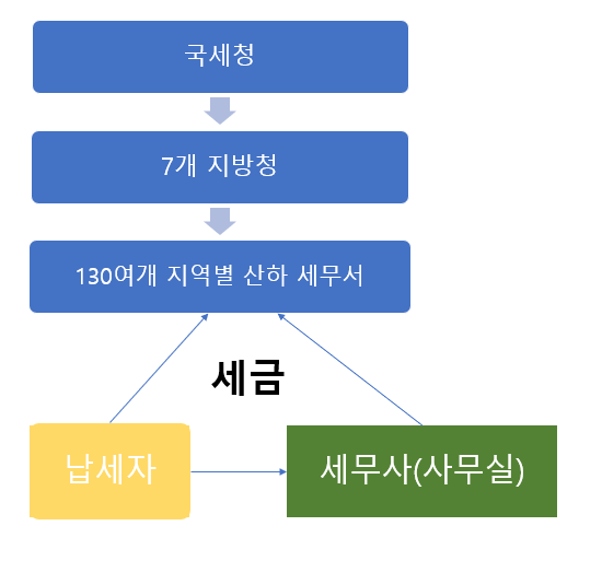 세인세무회계 이미지