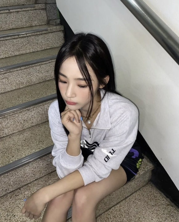 허브나무 이미지