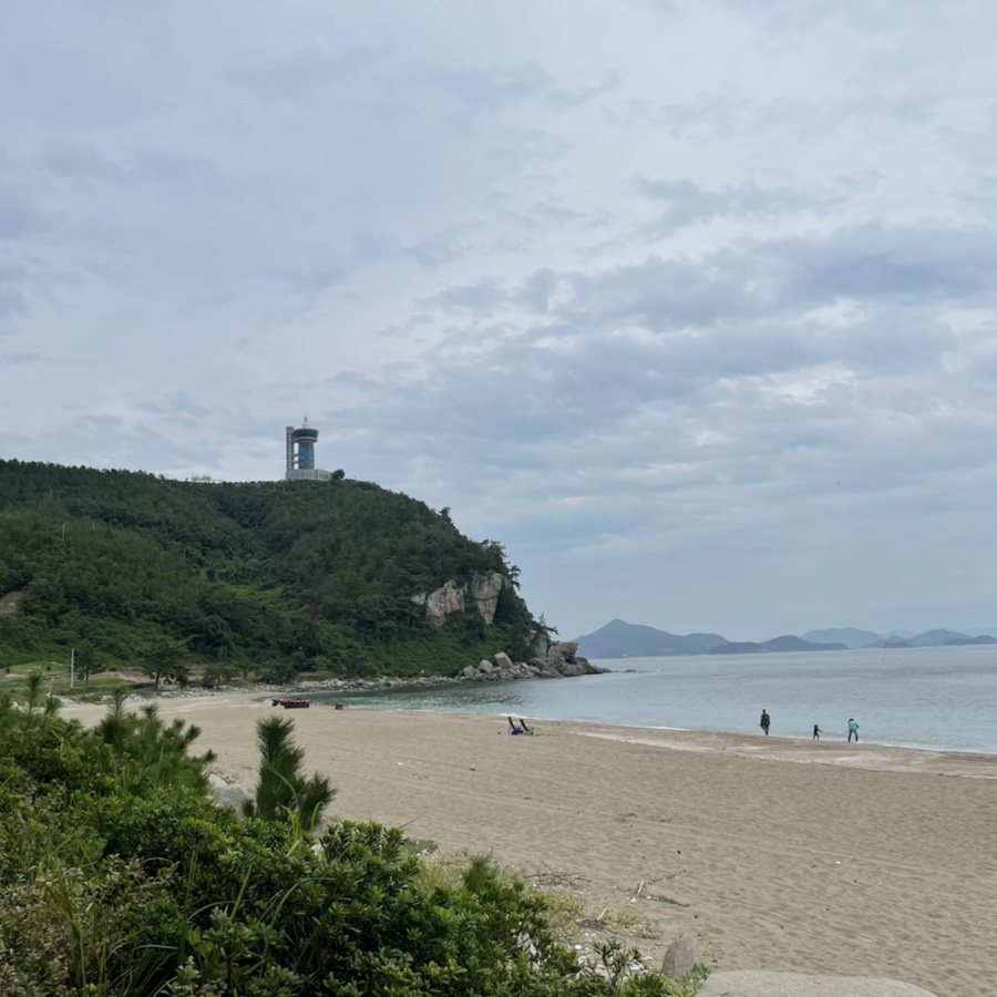 서핑쿠스 이미지