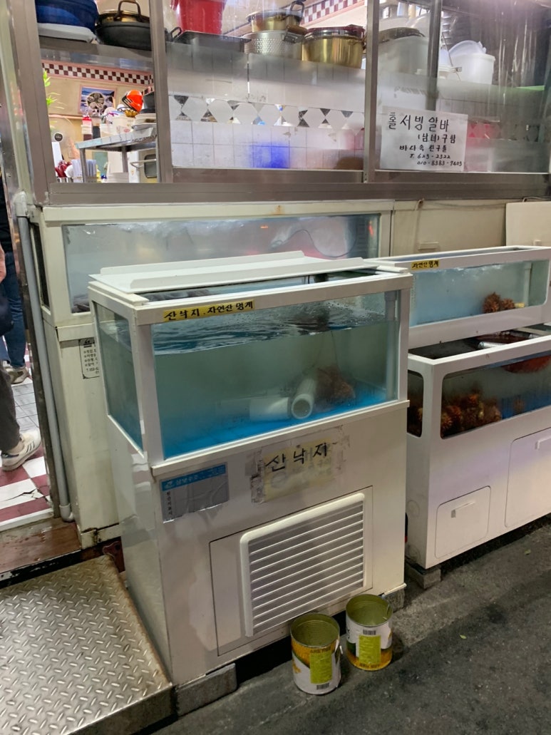 바다속친구들 이미지