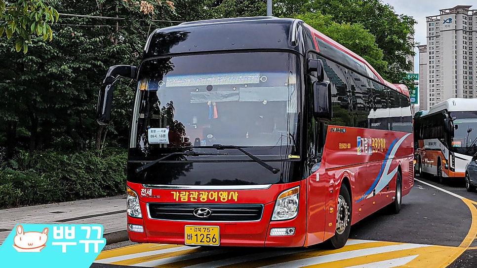 천일관광 이미지