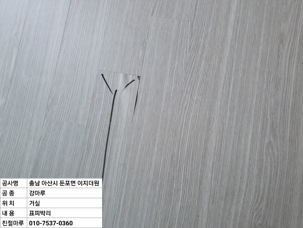 충남댁 이미지