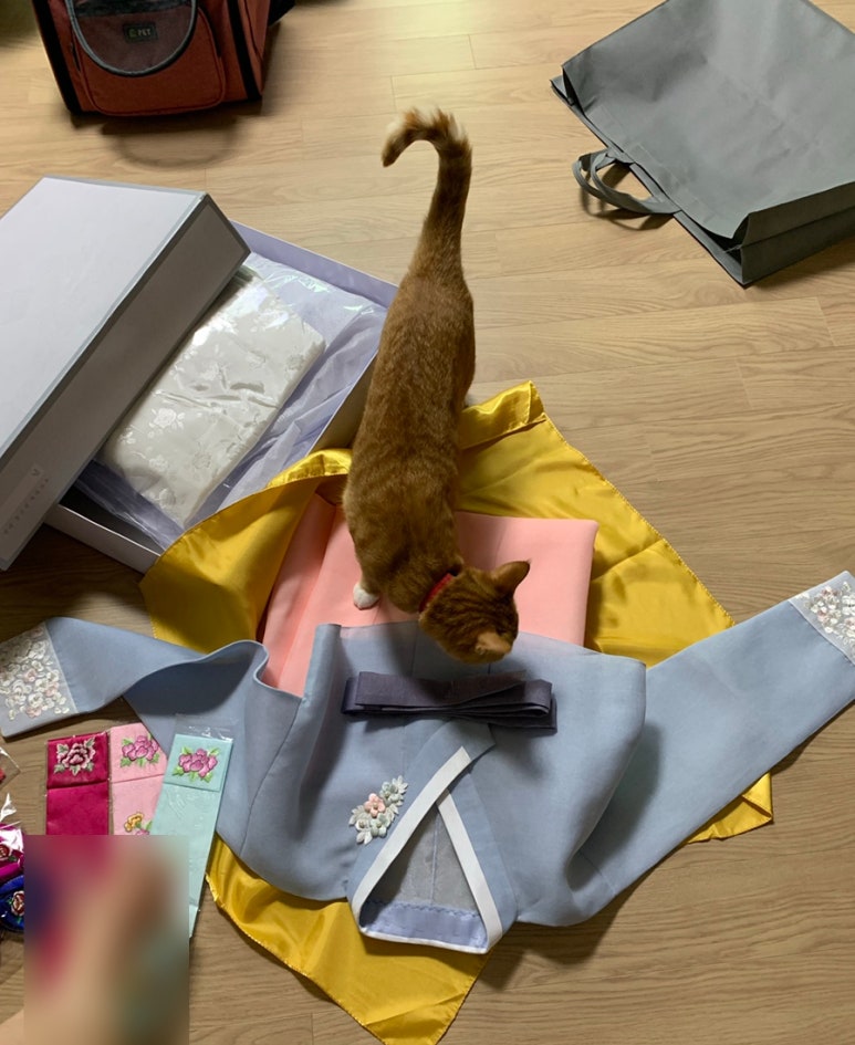 충남꼬까방 이미지