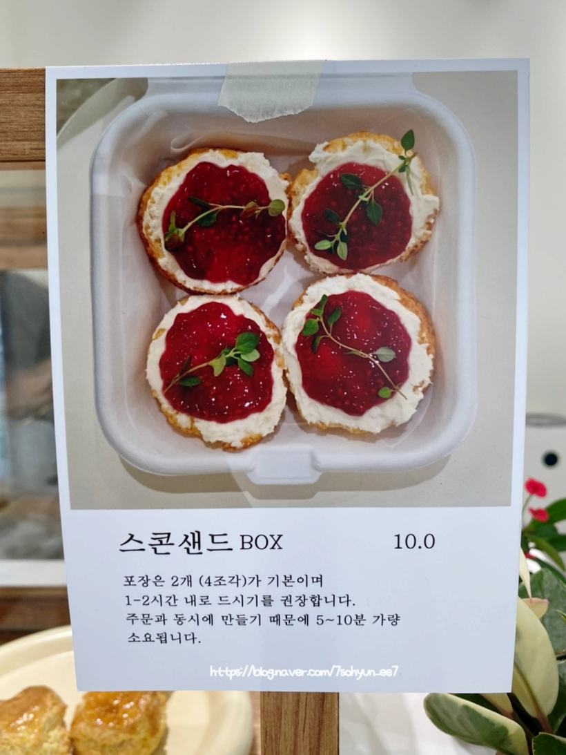 딜리샌드 이미지