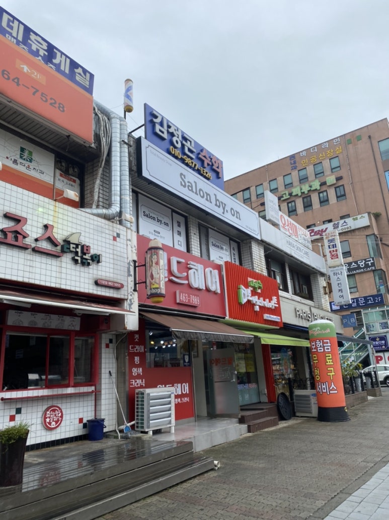 살롱바이온 이미지
