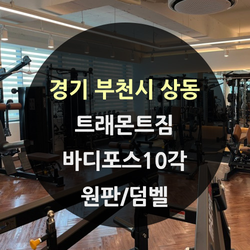 트래몬트짐 PT 이미지